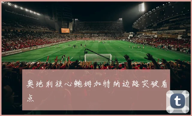 奥地利核心鲍姆加特纳边路突破看点
