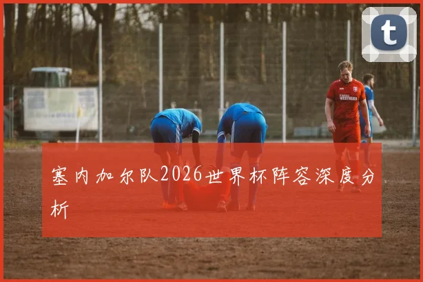 塞内加尔队2026世界杯阵容深度分析