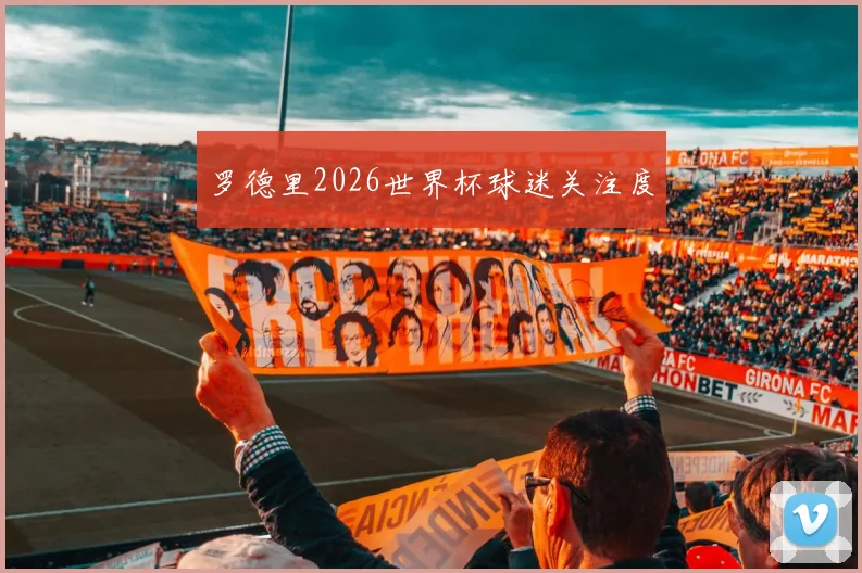 罗德里2026世界杯球迷关注度