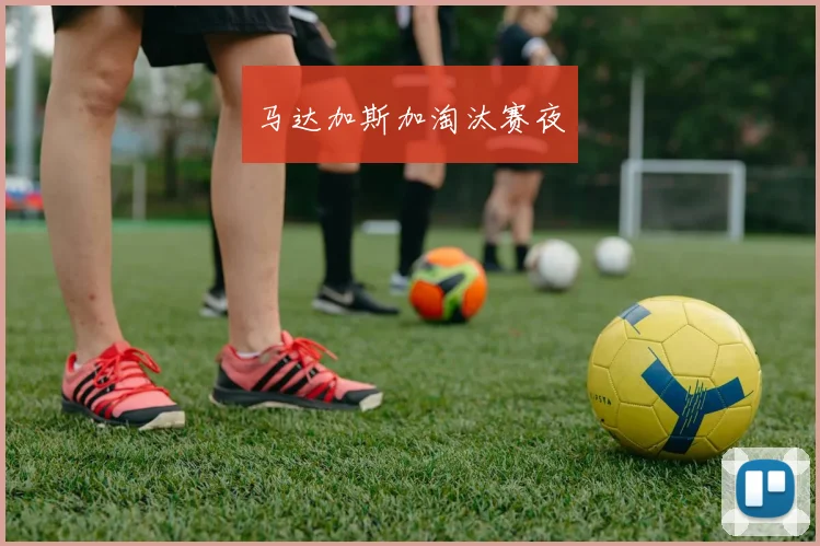 马达加斯加淘汰赛夜