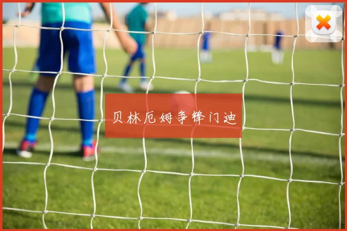 开云世界杯(中国) - 贝林厄姆争锋门迪
