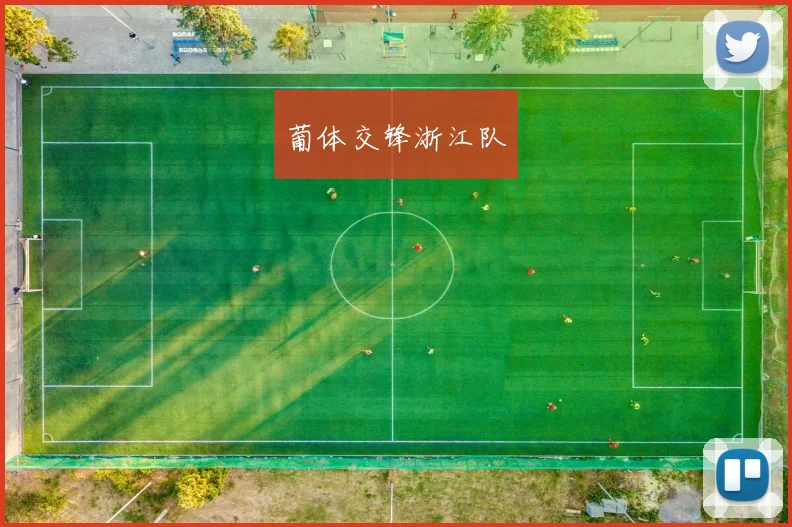 开云世界杯(中国) - 葡体交锋浙江队