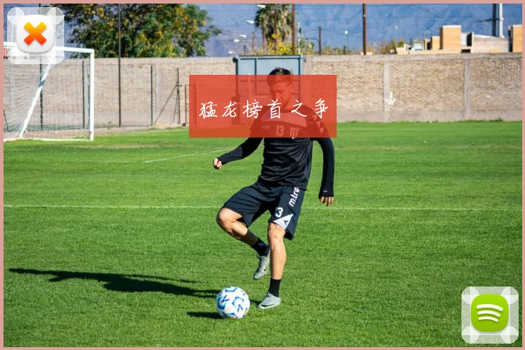 猛龙榜首之争