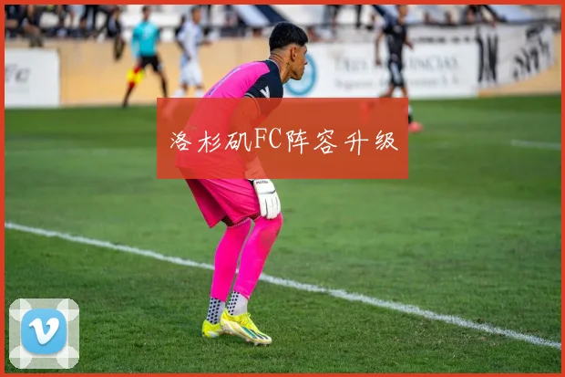 洛杉矶FC阵容升级