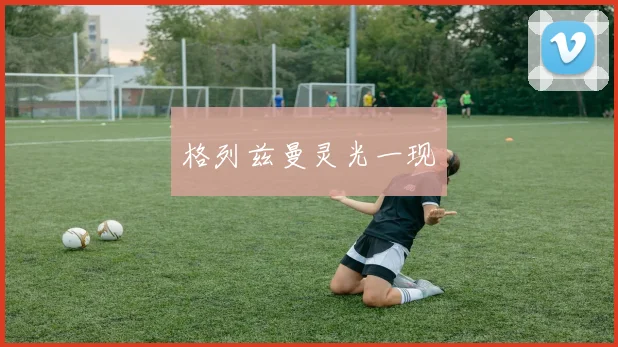 格列兹曼灵光一现