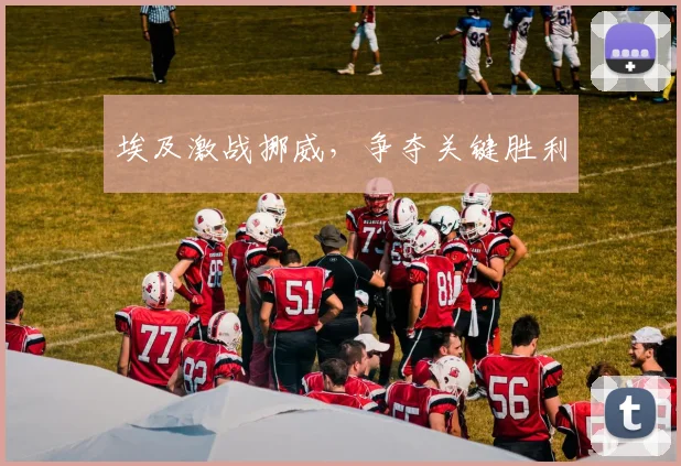 埃及激战挪威，争夺关键胜利