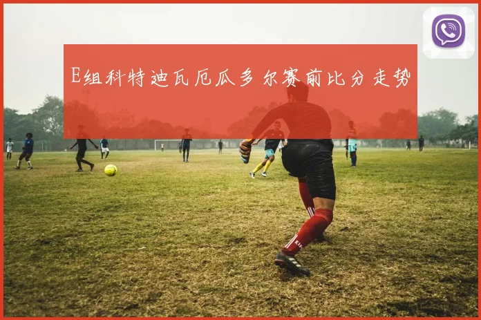 E组科特迪瓦厄瓜多尔赛前比分走势