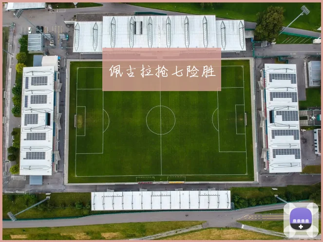 佩古拉抢七险胜