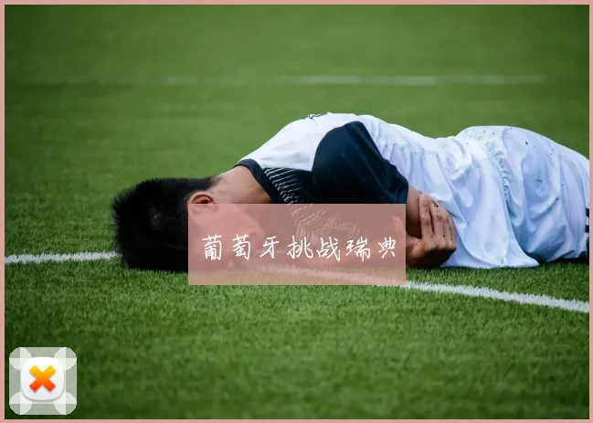 开云世界杯(中国) - 葡萄牙挑战瑞典