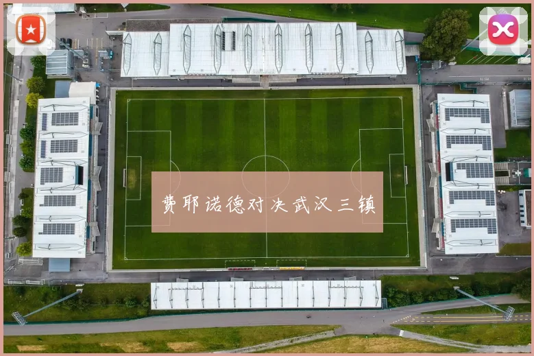 费耶诺德对决武汉三镇