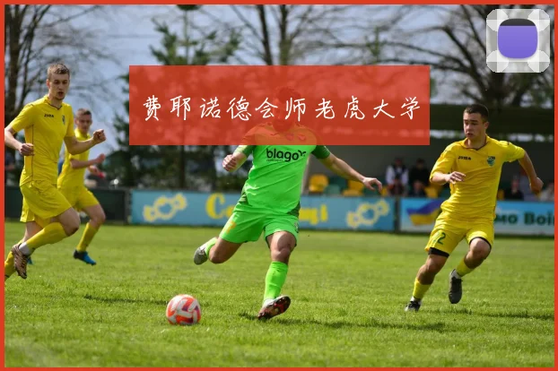 费耶诺德会师老虎大学