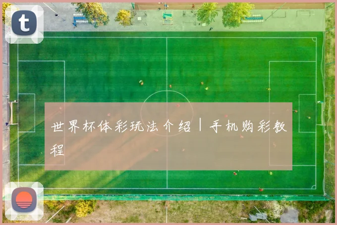 世界杯体彩玩法介绍｜手机购彩教程