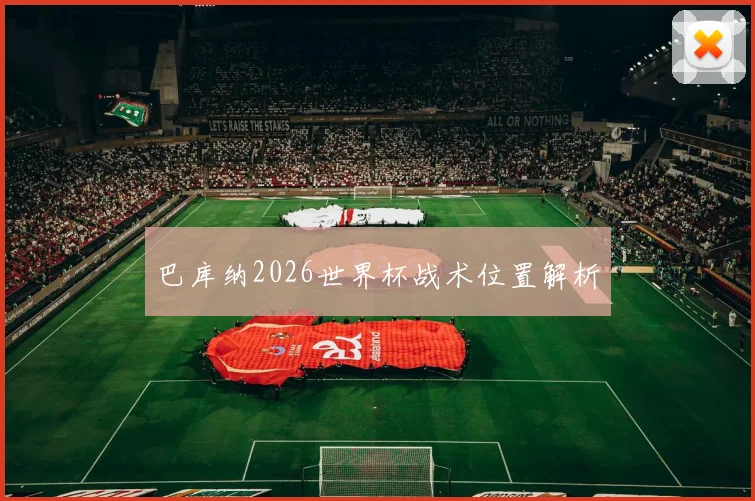 巴库纳2026世界杯战术位置解析
