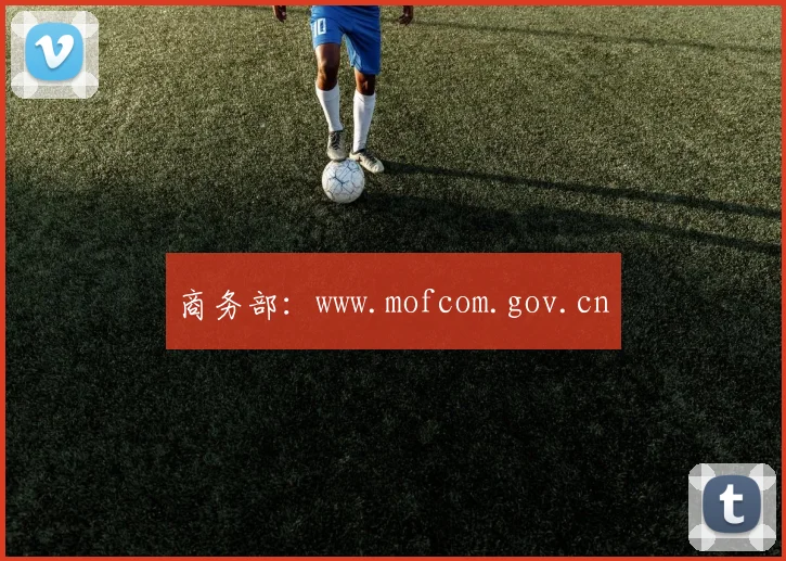 商务部：www.mofcom.gov.cn