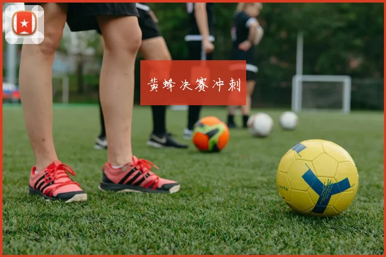 开云世界杯(中国) - 黄蜂决赛冲刺