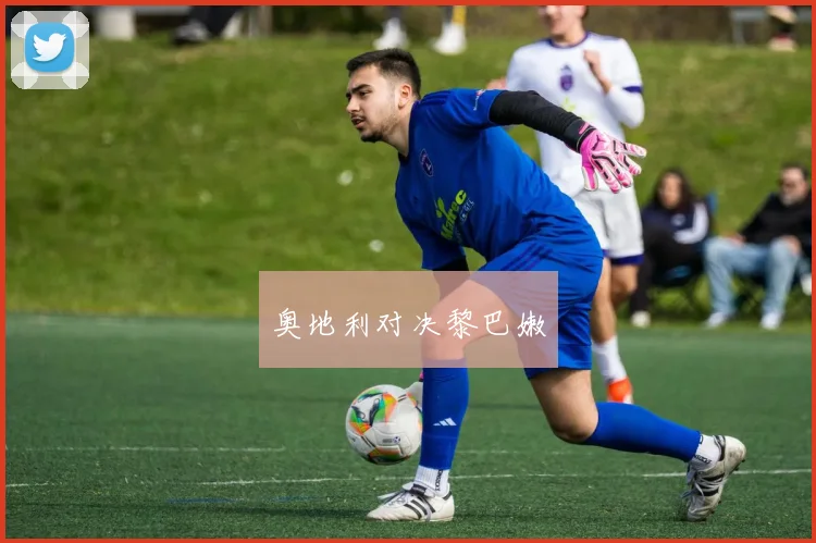 开云世界杯(中国) - 奥地利对决黎巴嫩