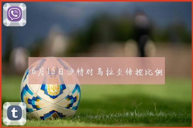 6月15日沙特对乌拉圭传控比例