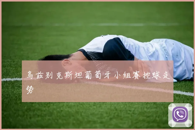 乌兹别克斯坦葡萄牙小组赛控球走势