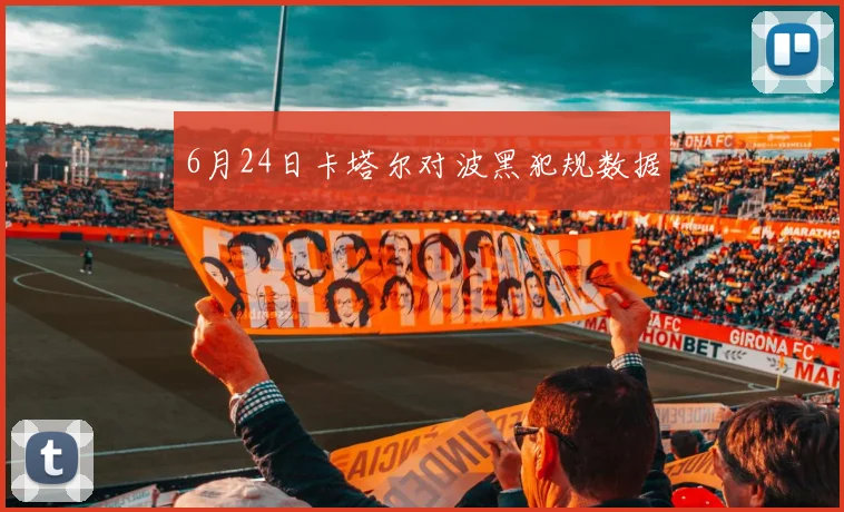 6月24日卡塔尔对波黑犯规数据