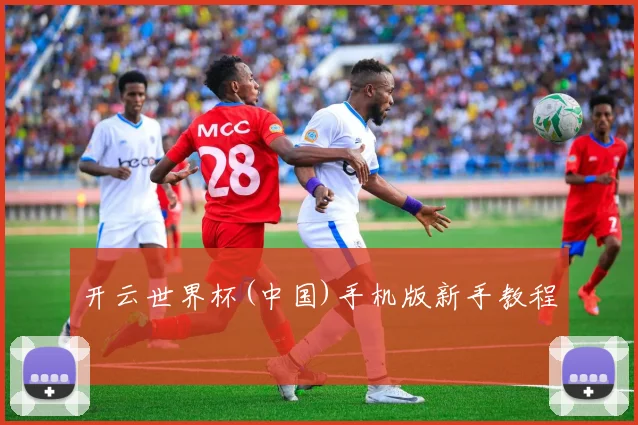 开云世界杯(中国)手机版新手教程
